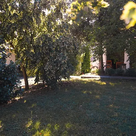 Uragya Vendeghaz Guest house Mad